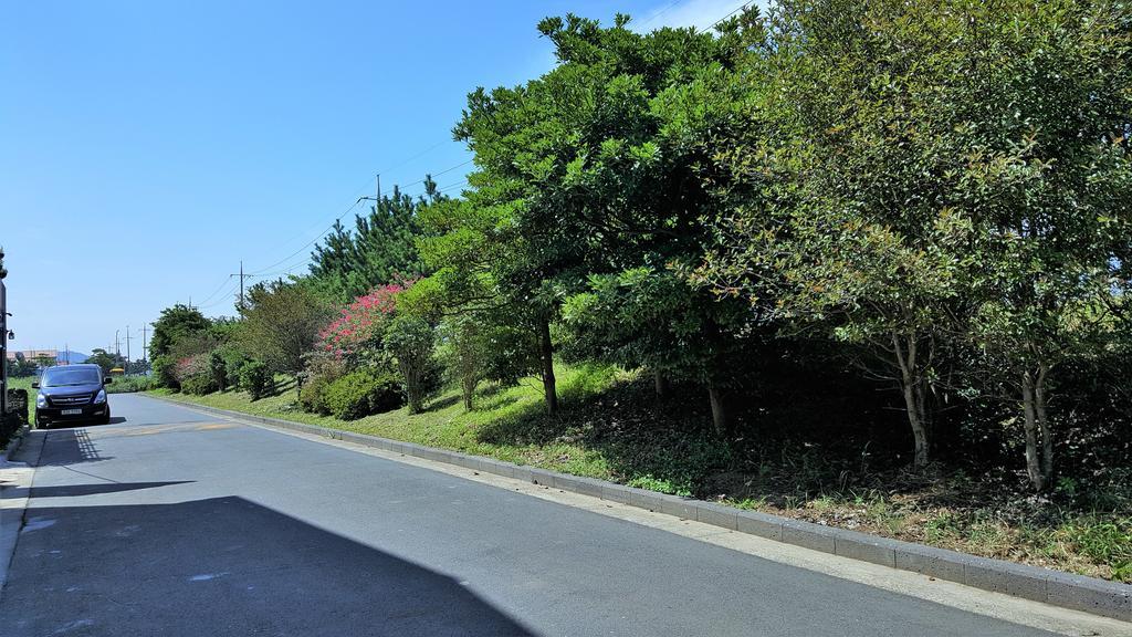 Cardinal House Villa Jeju Luaran gambar