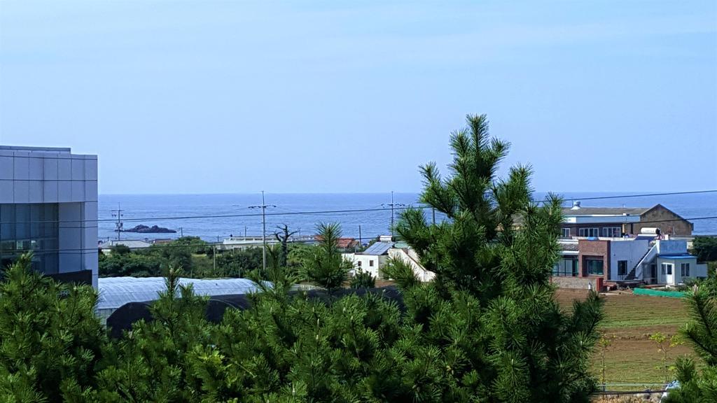 Cardinal House Villa Jeju Luaran gambar